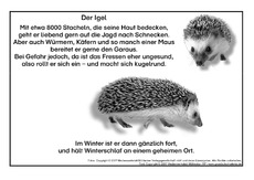 Der-Igel-SW.pdf